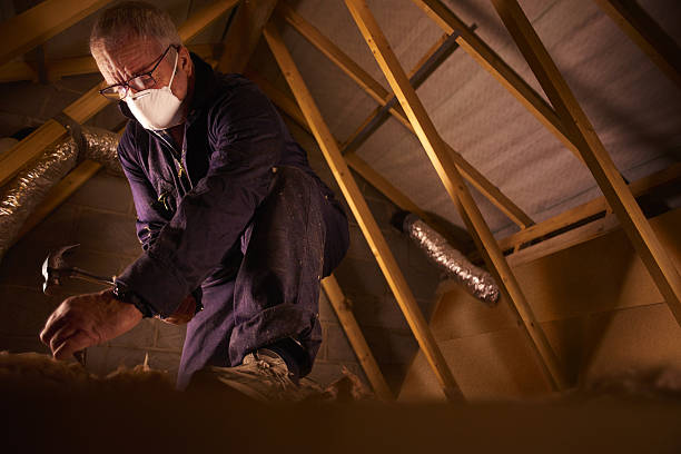 Best DIY Insulation Kits and Guidance in Greenland, AR